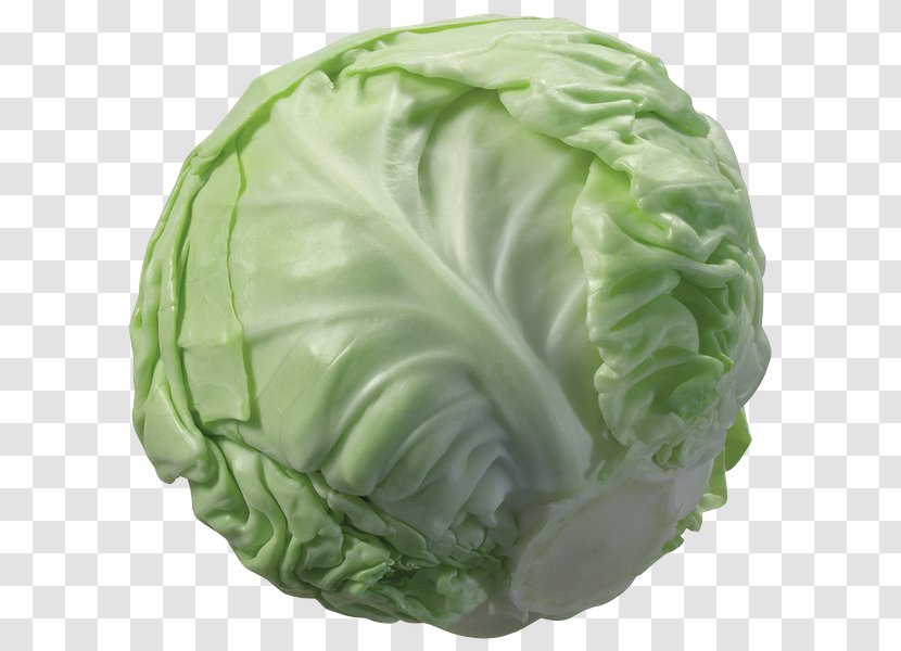 Napa Cabbage Cauliflower Vegetable - Chinese Broccoli Transparent PNG