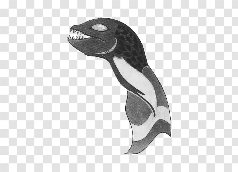 Penguin Marine Mammal White - Beak - Golden Axe Transparent PNG