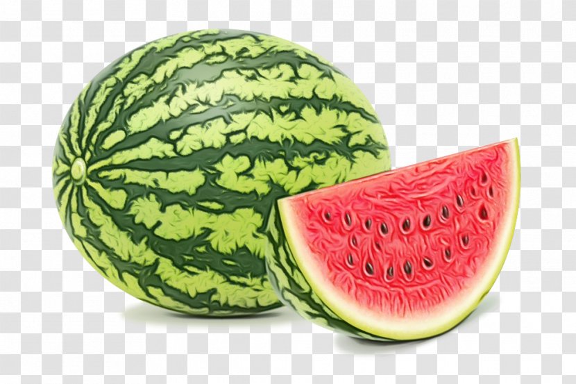 Watermelon - Cucumber Gourd And Melon Family - Citrullus Transparent PNG