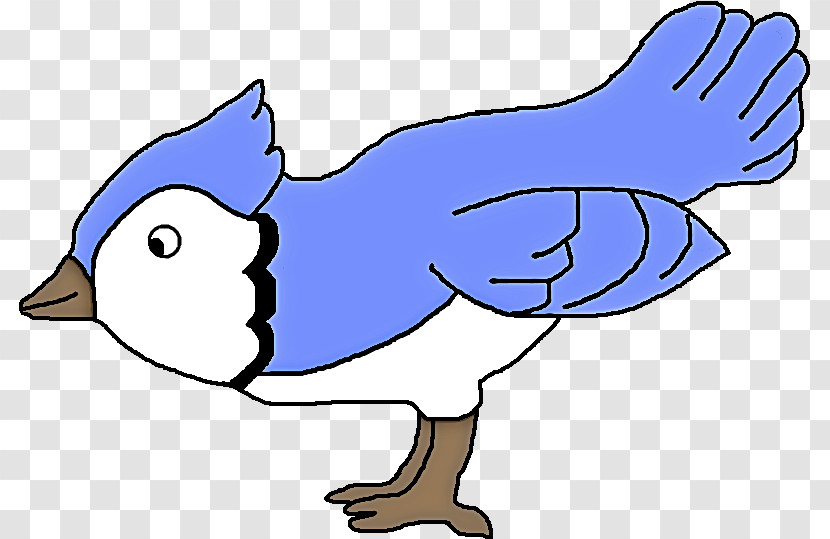 Bird Cartoon Beak Line Art Tail Transparent PNG