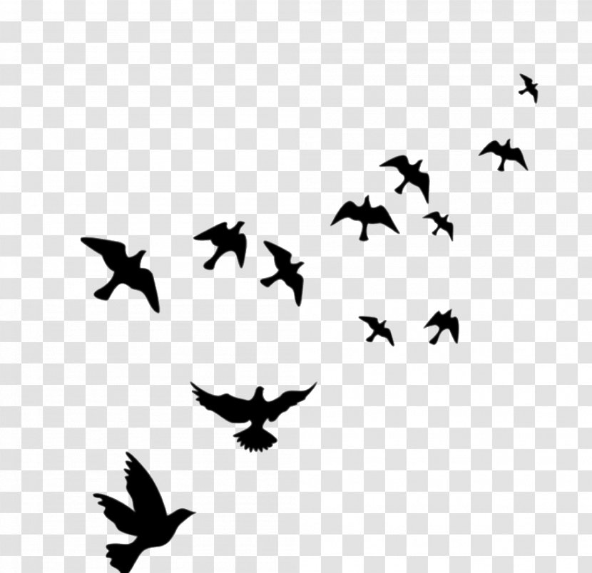 Bird Wall Decal Flight Mural - Migration - Birds In Sky Transparent PNG
