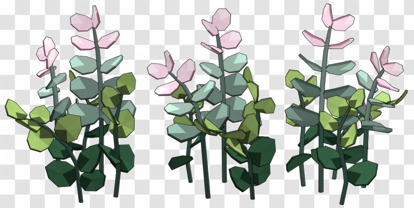 Plant Cactaceae Clip Art - Succulent - Dwarf Transparent PNG