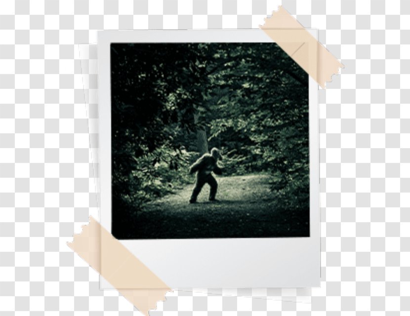 Bigfoot, The Loch Ness Monster, And Unexplained Creatures Legendary Creature - Legend - Monster Transparent PNG