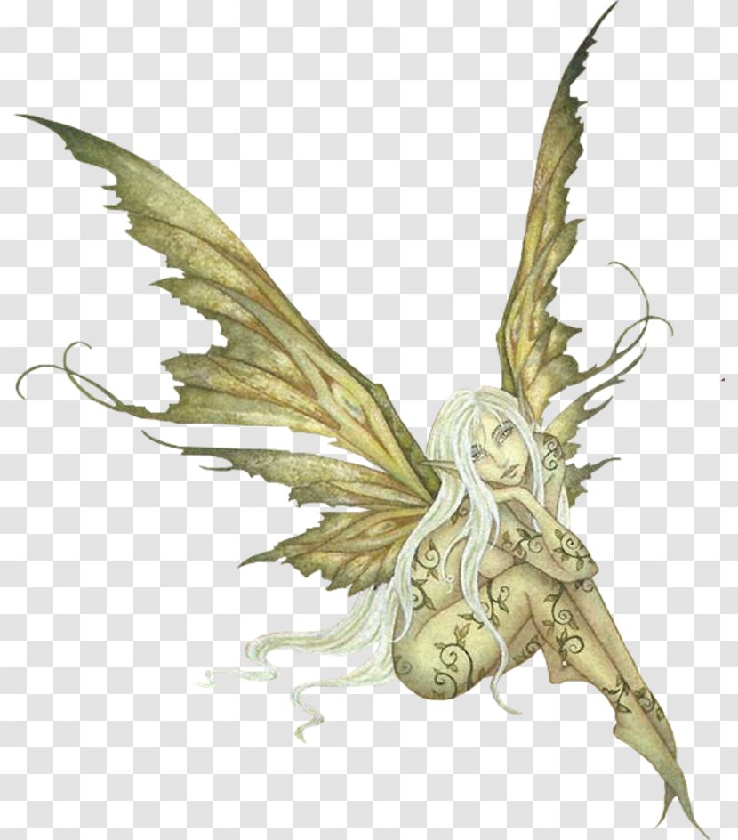 Fairy Sprite Elf Pixie Transparent PNG