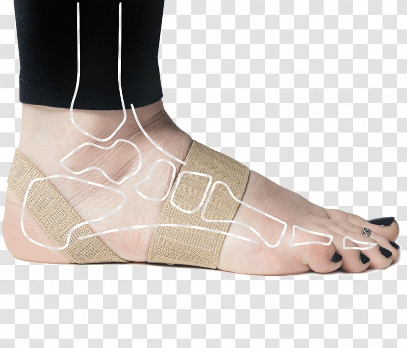 Foot Ankle Shoe Insert Plantar Fasciitis Sprain - Tree - Heart Transparent PNG
