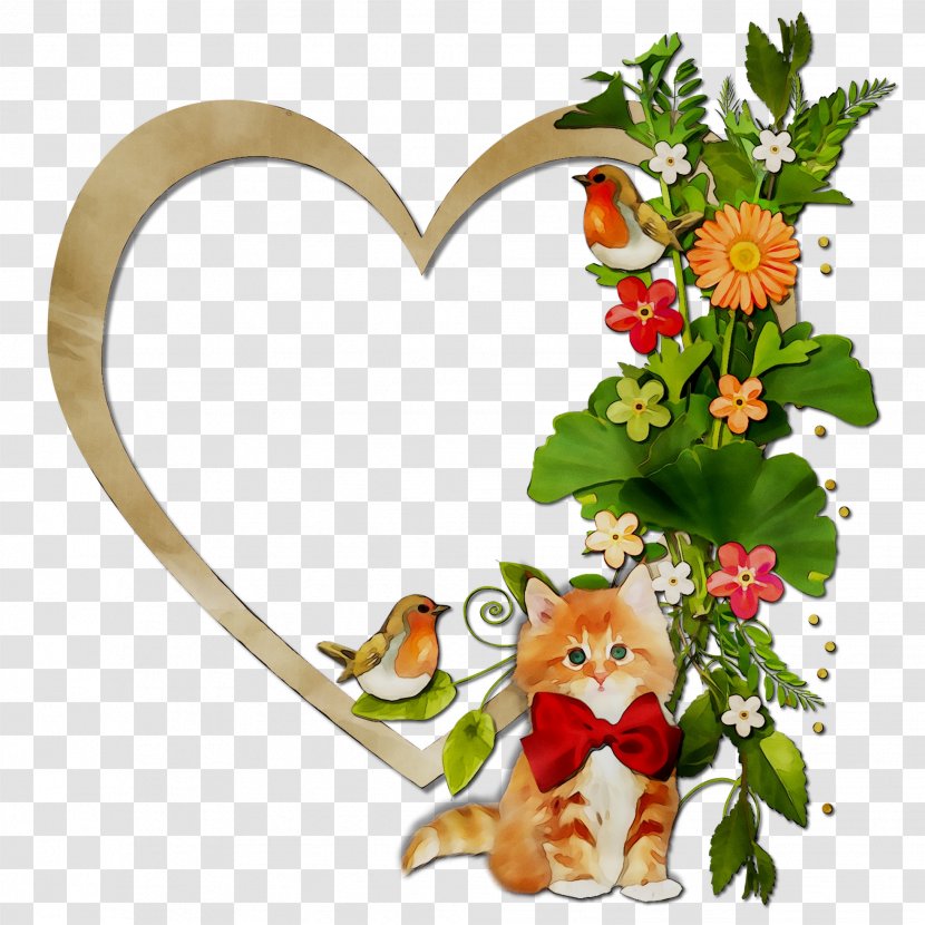 Picture Frames Cat Photograph Paper Image - Plant - Squirrel Transparent PNG