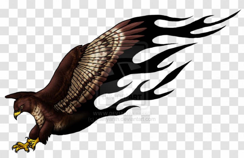 Eagle Buzzard Hawk Tattoo Turkey Vulture - Wing Transparent PNG