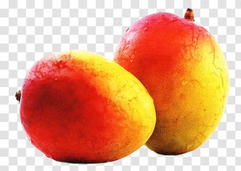 Mango Cartoon - Natural Foods - Ataulfo Drupe Transparent PNG