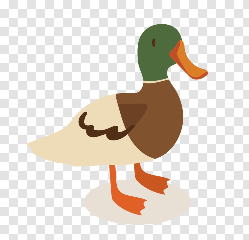 Vector Graphics Image Photograph Cartoon - Beak - Farm Animals Transparent PNG