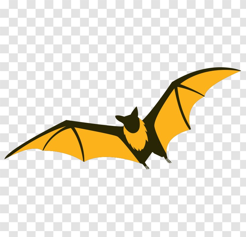 Bat Flight Drawing Illustration Vector Graphics Transparent PNG