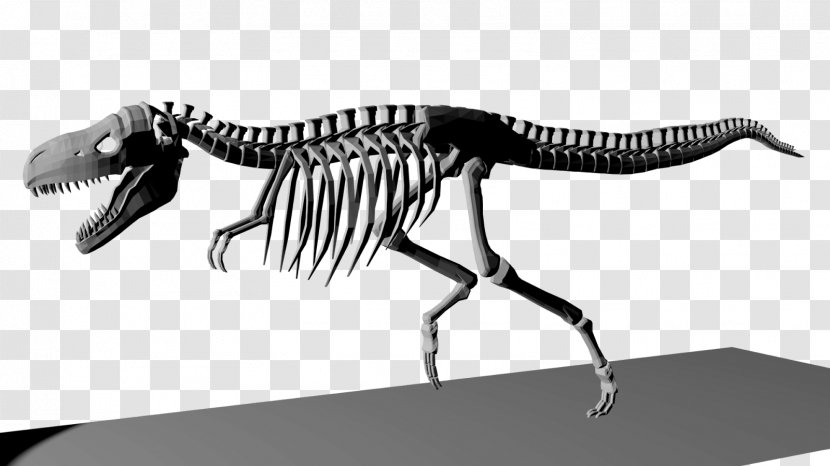 Tyrannosaurus Velociraptor Animal White Wildlife - Skeleton - T-rex Transparent PNG