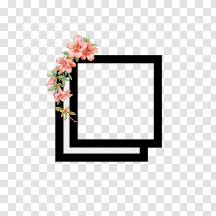 Image Photography Desktop Wallpaper Video - Picture Frames - Tumblr Hipster Transparent PNG