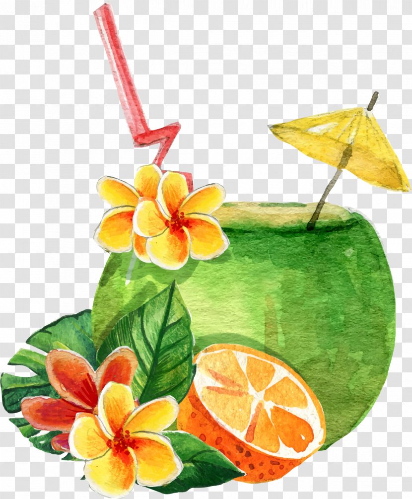Cocktail Orange Juice Coconut Milk - Fruit - Vector Hand Painted Summer Special Drink Transparent PNG