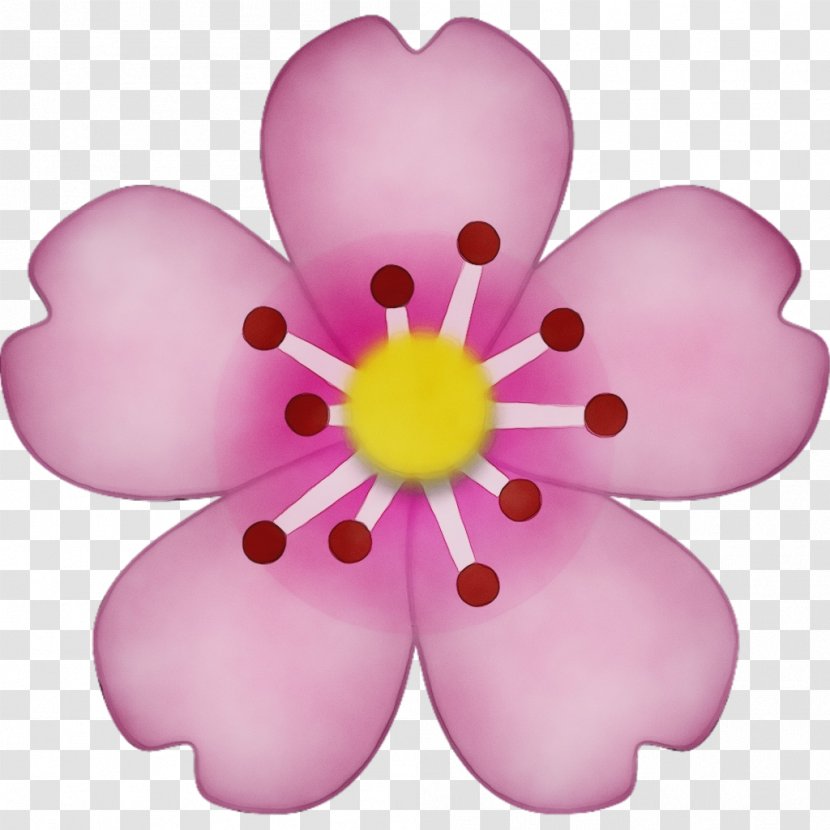Petal Pink Flower Violet Plant - Wildflower Transparent PNG