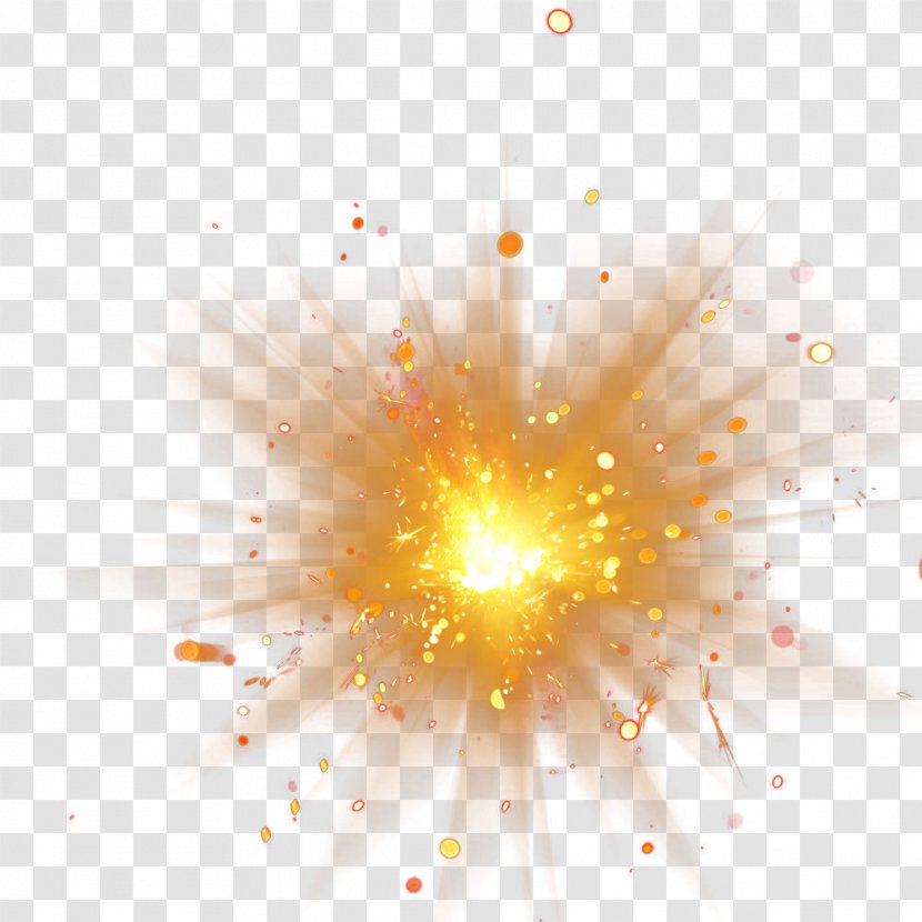 Light Adobe Fireworks - Petal - 2017 Golden Transparent PNG