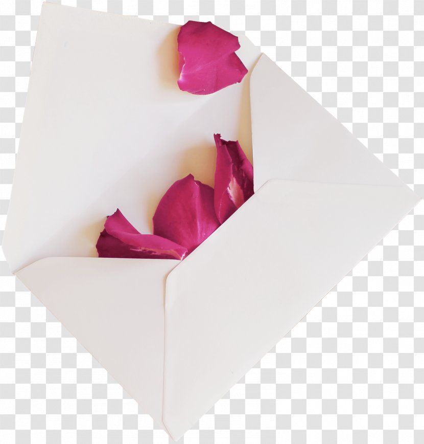 Paper Envelope Oludemi Jagun, Dosunmu And Co Mind - Tulip - Petals Transparent PNG