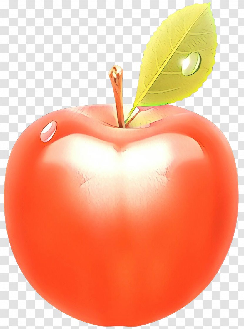 Leaf Heart - Peach - Malus Transparent PNG