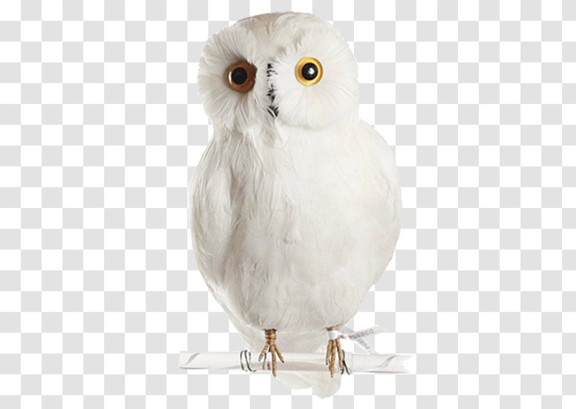 Snowy Owl Bird Clip Art - Logo Transparent PNG
