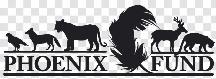 Phoenix Fund Mustang Logo Northeast Asian Leopard Tiger - Mammal Transparent PNG