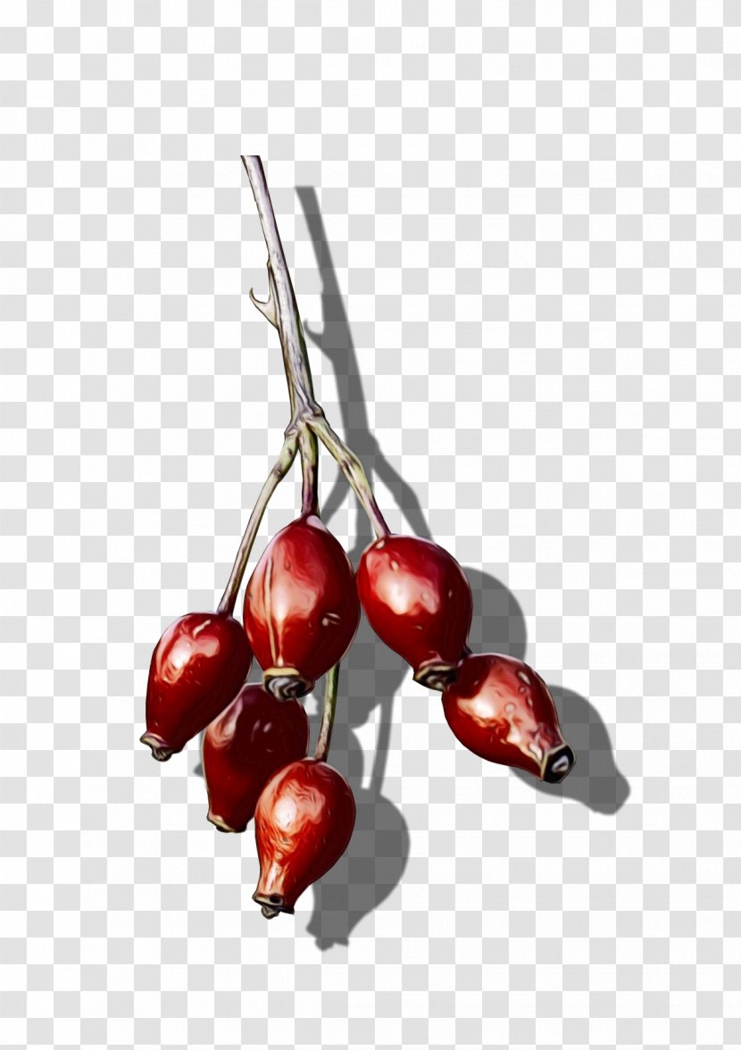Fruit Cherry Plant Red Food - Flowering - Lingonberry Flower Transparent PNG