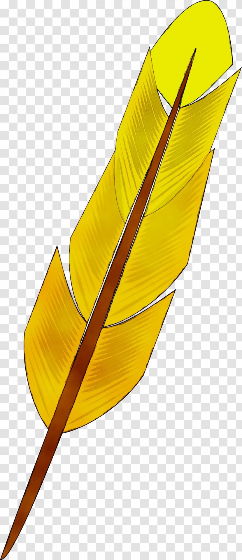 Leaf Arrow - Watercolor - Writing Implement Feather Transparent PNG