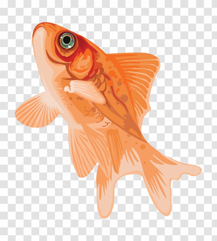 Fish Cartoon - Aquarium Feed - Animal Figure Rayfinned Transparent PNG