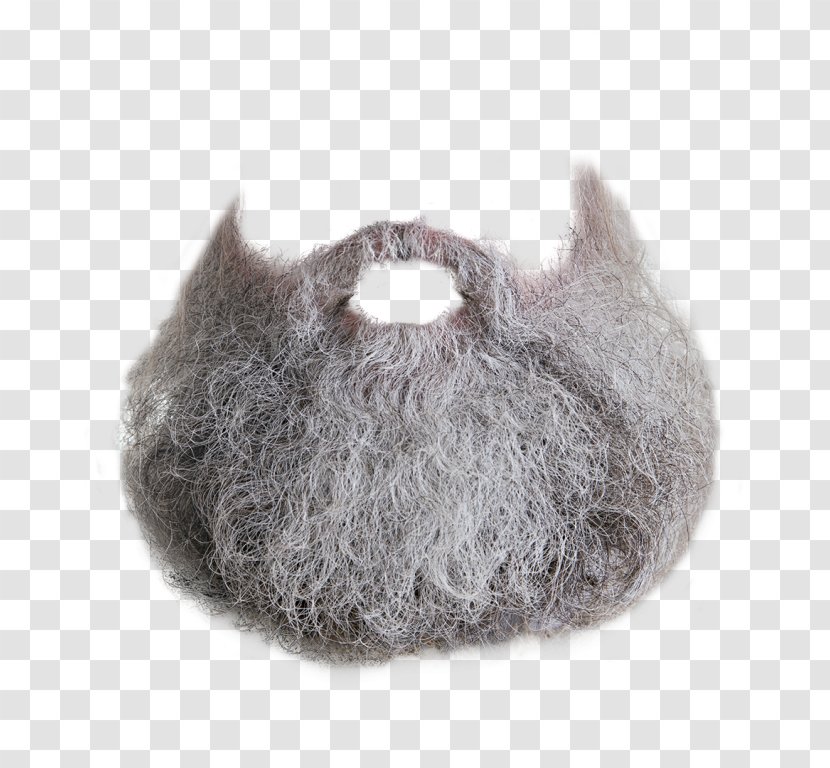 Beard Clip Art - Cartoon Transparent PNG