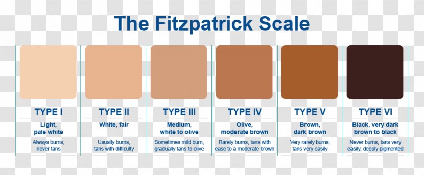 Human Skin Color Fitzpatrick Scale Light - Homo Sapiens - Process Transparent PNG