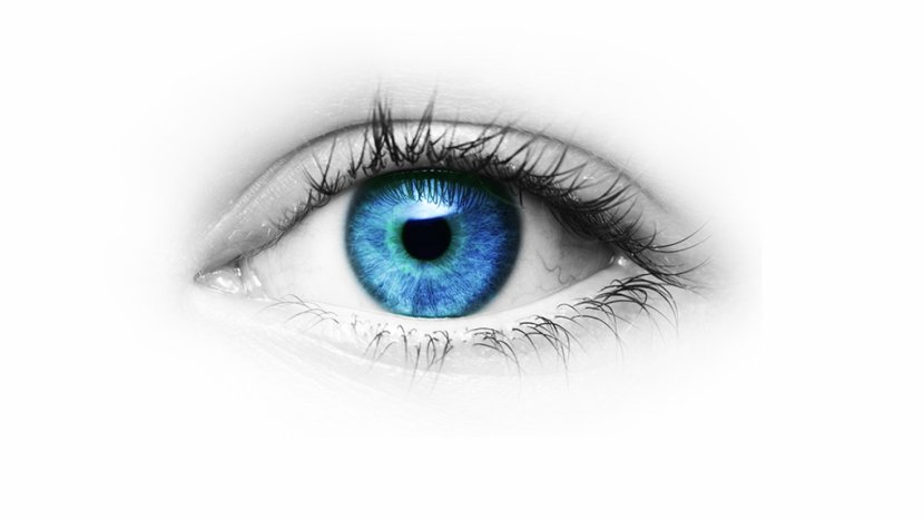Lions Eye Hospital Donation Bank Color - Frame - Eyes Transparent PNG