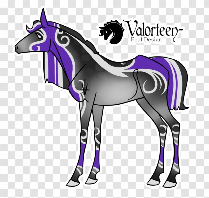 Foal Pony Mustang Stallion Colt Transparent PNG