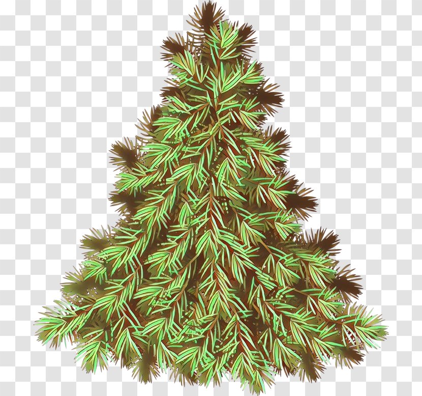 Christmas Tree - Canadian Fir Oregon Pine Transparent PNG