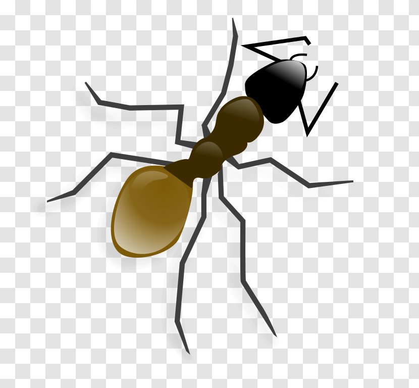 Ant Clip Art - Insect - Ants Transparent PNG