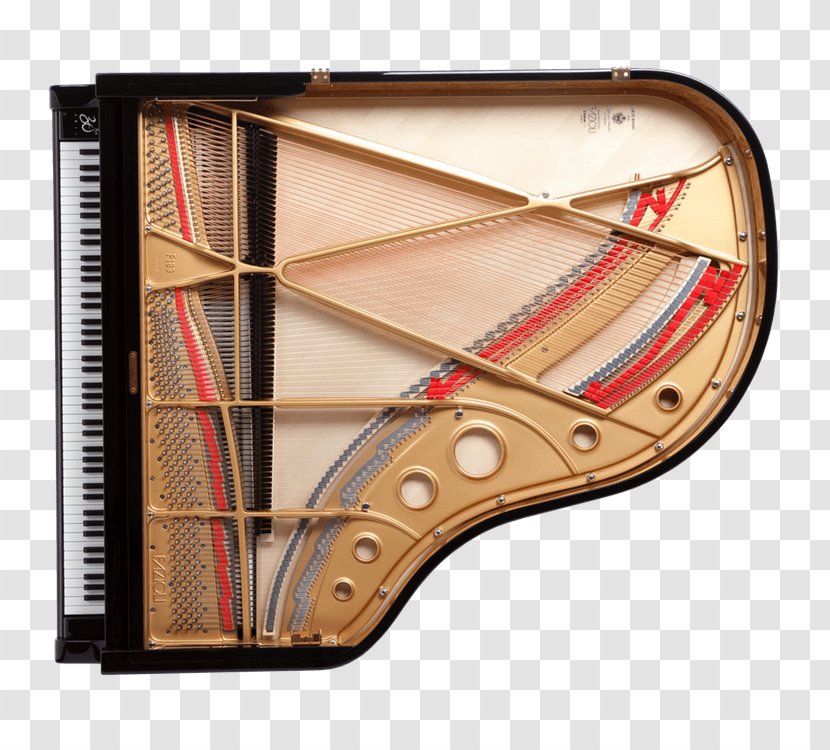 Grand Piano String Fazioli Wire - Cartoon - Sale Transparent PNG