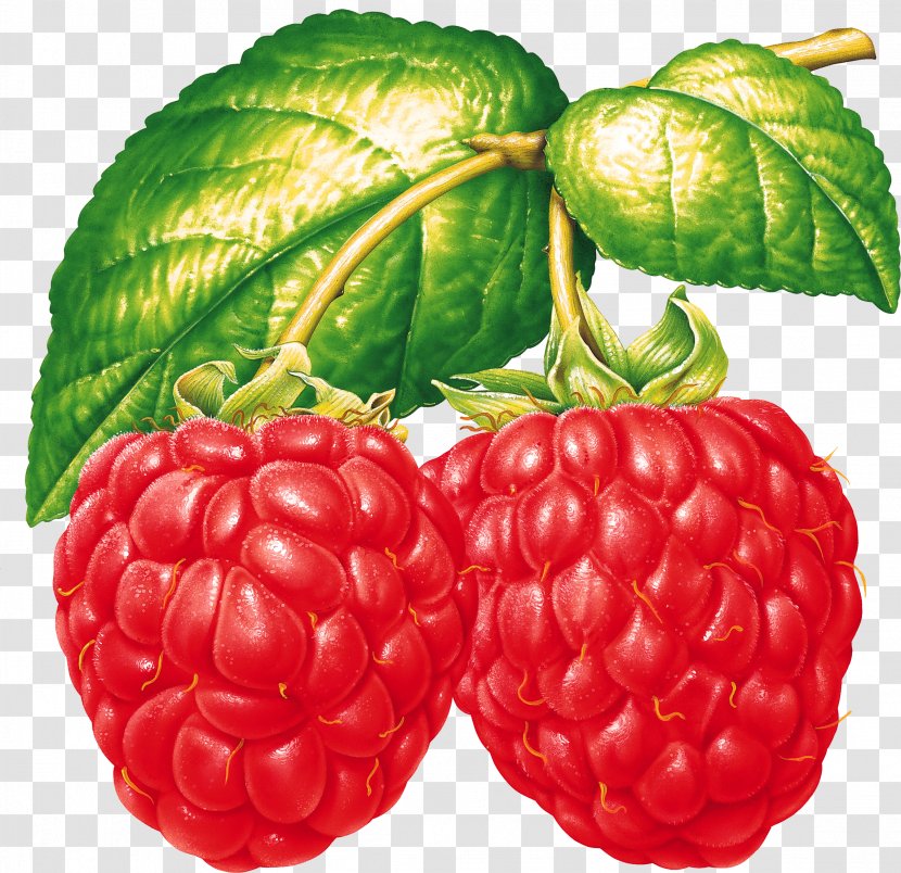 Raspberry Fruit Blackberry Food - Cherry - Rraspberry Image Transparent PNG