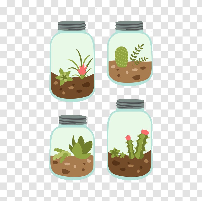 Cactus Y Suculentas Cactaceae Succulent Plant Header - Grass - Cartoon Succulents Transparent PNG