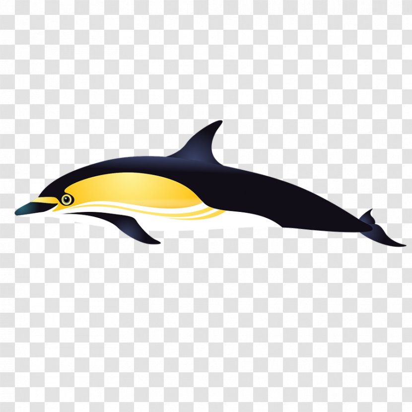 Short-beaked Common Dolphin Tucuxi Porpoise Bottlenose - Bird - Black Cartoon Transparent PNG