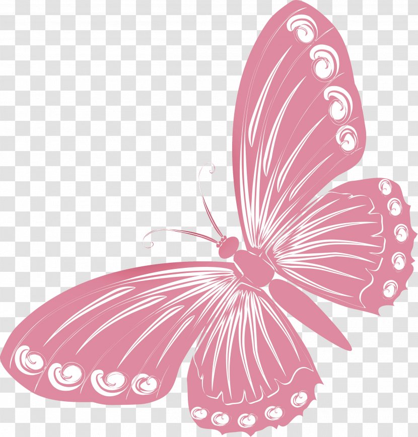 Butterfly Drawing Clip Art - Magenta Transparent PNG