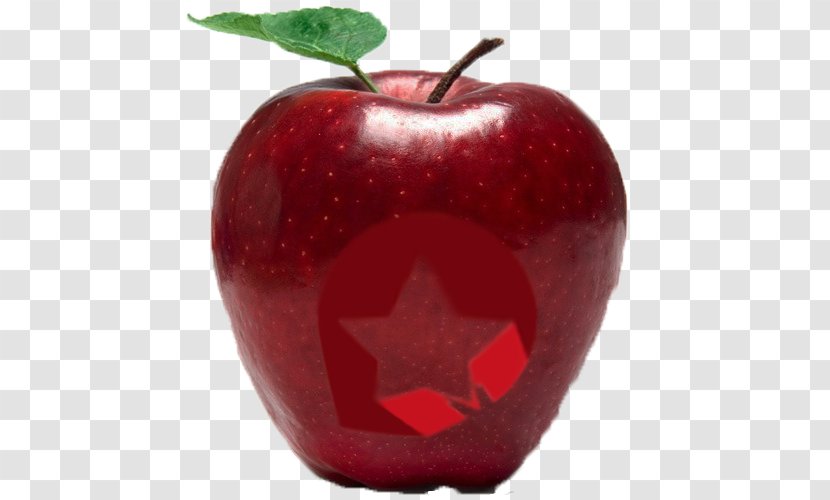 Apple Food Fruit Drawing Odisea: The Game - Knowledge - Manzana. Transparent PNG