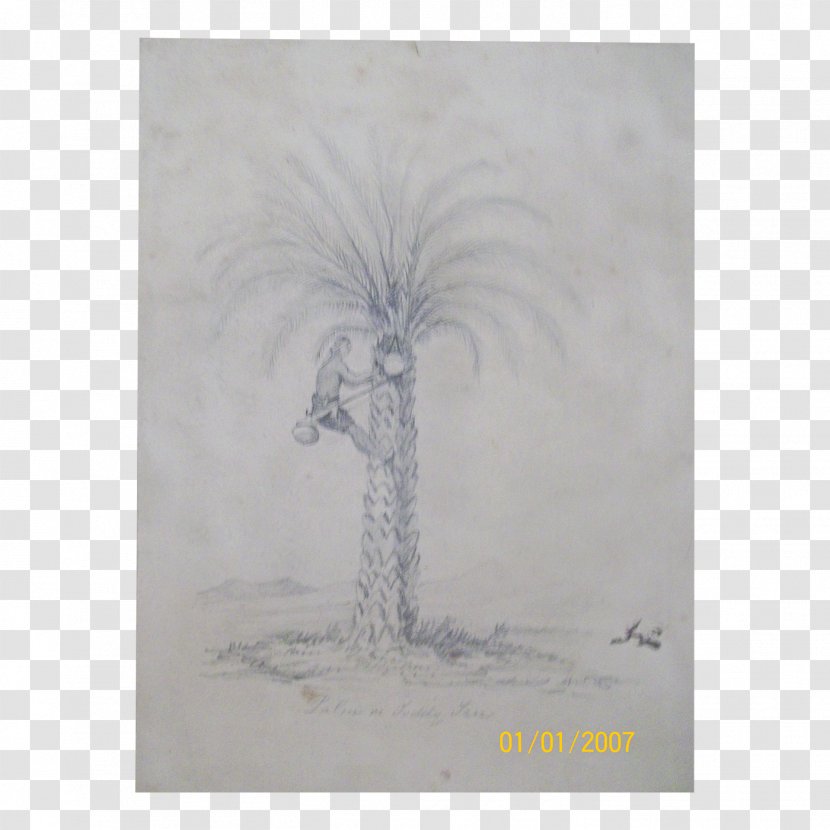 Drawing Painting Stock Photography Tree - Watercolor Palace Transparent PNG