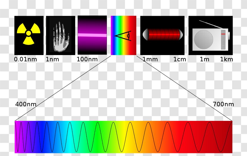 Light Electromagnetic Spectrum Ultraviolet Radiation Wavelength - Logo - Pas De Deux Transparent PNG