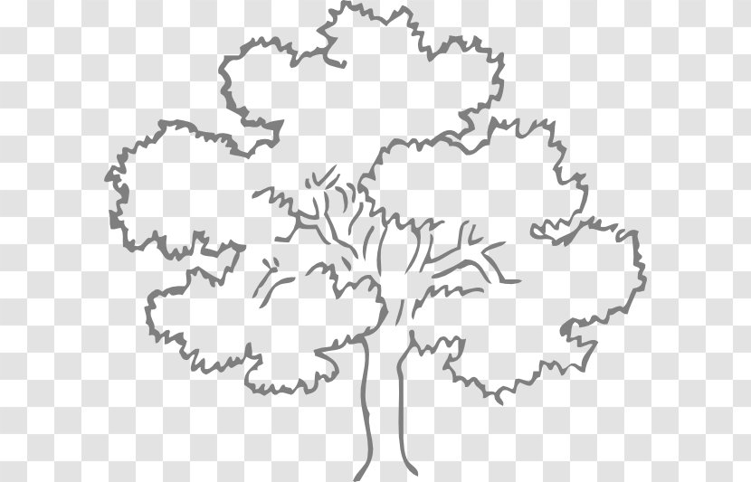 Quercus Kelloggii Tree Black And White Drawing Clip Art - Symmetry - Template Transparent PNG