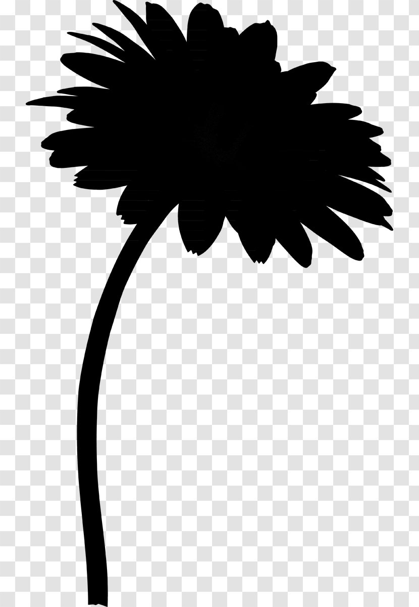 Plant Stem Flower Transvaal Daisy Clip Art - Blackandwhite - Common Transparent PNG