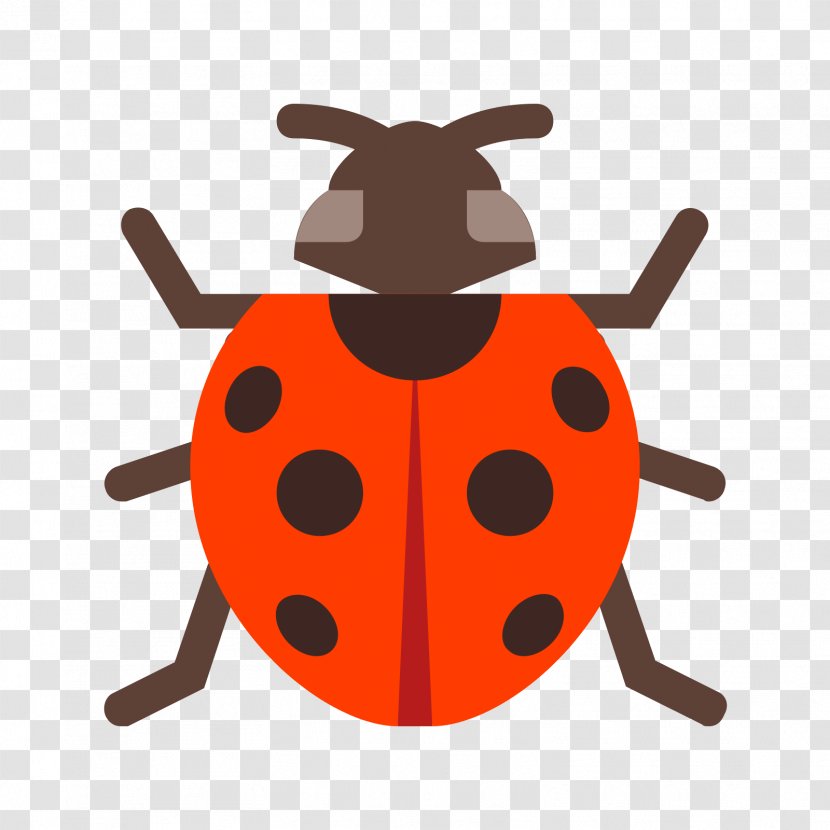 Vector Graphics Ladybird Beetle Royalty-free Stock Illustration - Invertebrate - Insect Transparent PNG