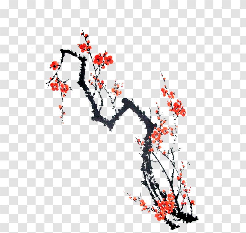 Plum Blossom - Twig - Flower Transparent PNG