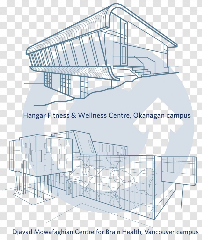Architecture House Drawing - Shed - Design Transparent PNG