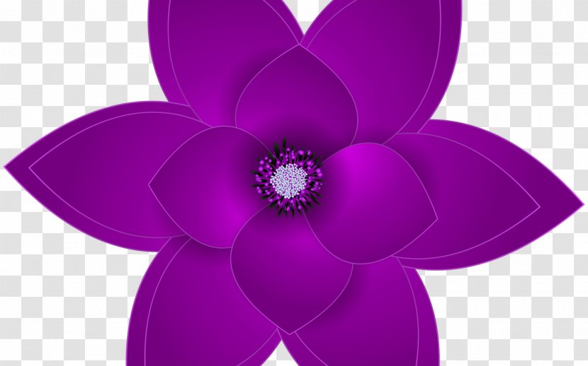Clip Art Petal Flower Image Violet - Purple Rainbow Roses Transparent PNG