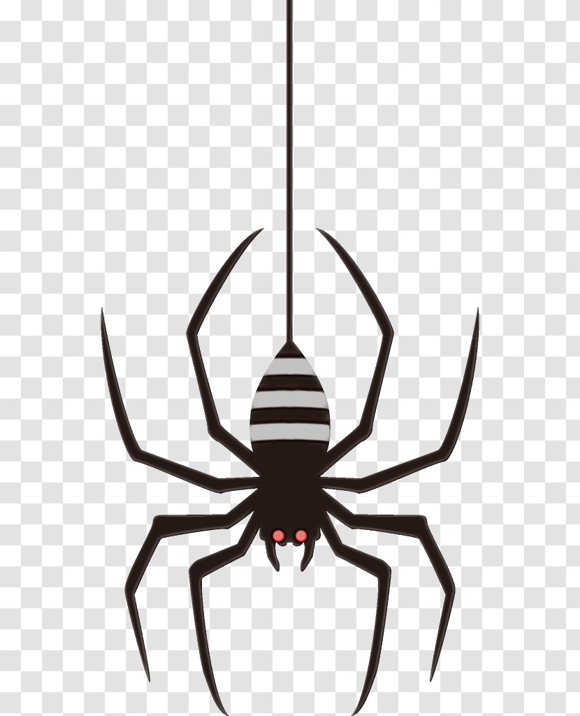 Spider Insect Arachnid Pest Line - Scorpion Transparent PNG
