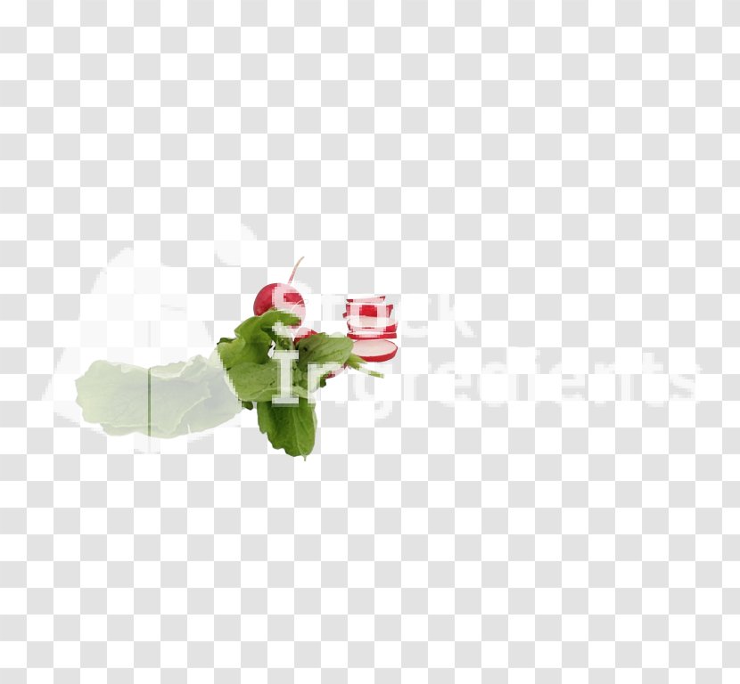 Christmas Ornament Flowering Plant - Petal Transparent PNG