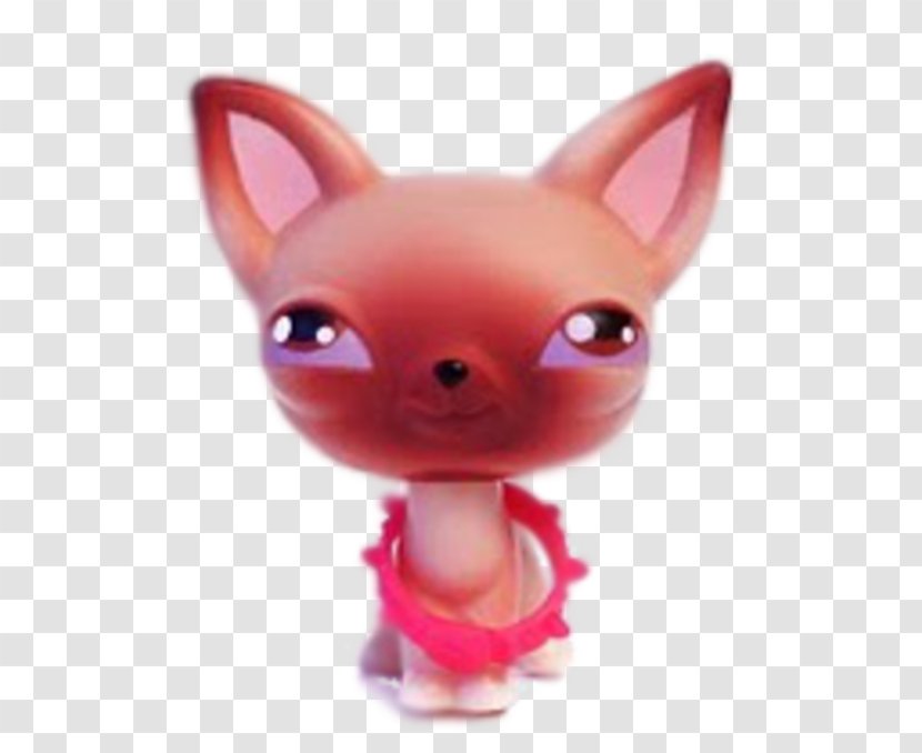 Chihuahua Littlest Pet Shop Cat Transparent PNG