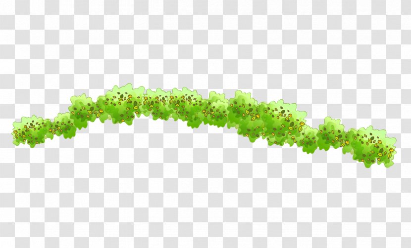 Green - Vine Grass Transparent PNG